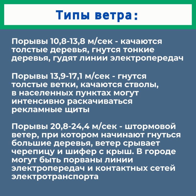 Весна: самое время поговорить о правилах безопасности во время сильного ветра Весна: самое время поговорить о правилах безопасности во время сильного ветра