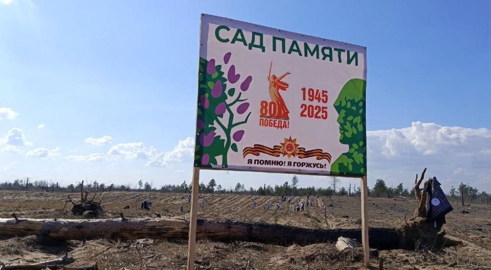 Участники Международной акции «Сад памяти» высадили 27 тысяч сеянцев сосны на территории Северодонецкого лесничества Участники Международной акции «Сад памяти» высадили 27 тысяч сеянцев сосны на территории Северодонецкого лесничества