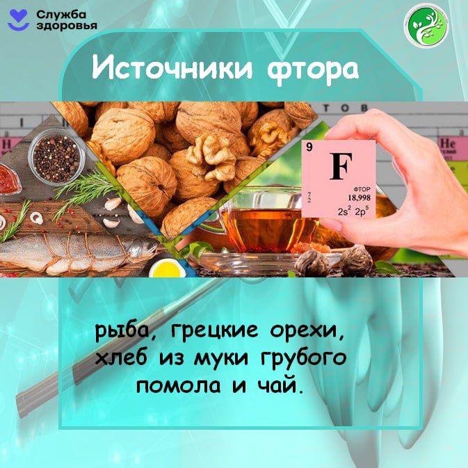 Чтобы сохранить зубы крепкими и здоровыми, нужна не только гигиена полости рта, но и правильное питание Чтобы сохранить зубы крепкими и здоровыми, нужна не только гигиена полости рта, но и правильное питание