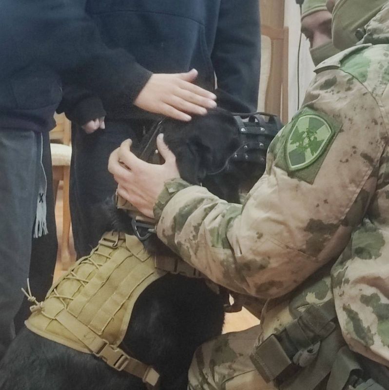 Инна Швенк: Канистерапия для детей-сирот: радость и поддержка от четвероногих друзей! Инна Швенк: Канистерапия для детей-сирот: радость и поддержка от четвероногих друзей!