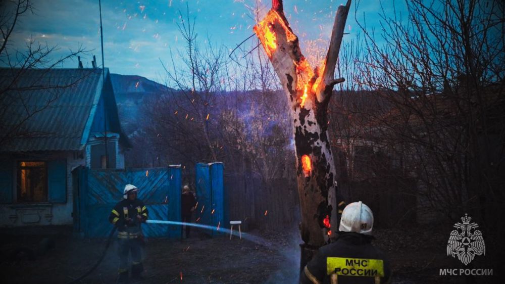 На минувших выходных в ЛНР ликвидировано 64 возгорания в экосистеме На минувших выходных в ЛНР ликвидировано 64 возгорания в экосистеме