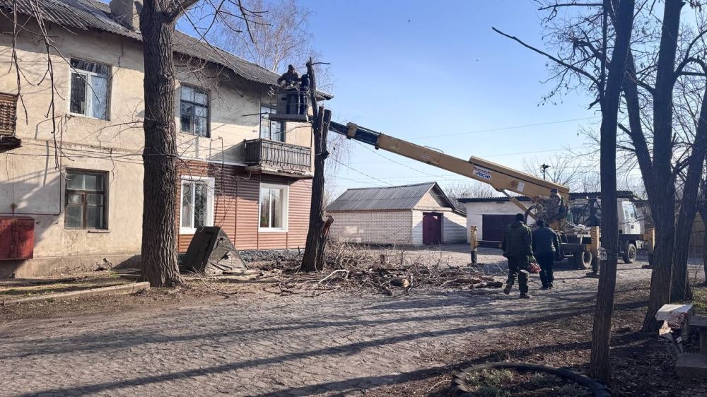 Андрей Рубанцов: На территории городского округа город Ровеньки продолжаются работы по удалению и обпилу аварийных деревьев Андрей Рубанцов: На территории городского округа город Ровеньки продолжаются работы по удалению и обпилу аварийных деревьев