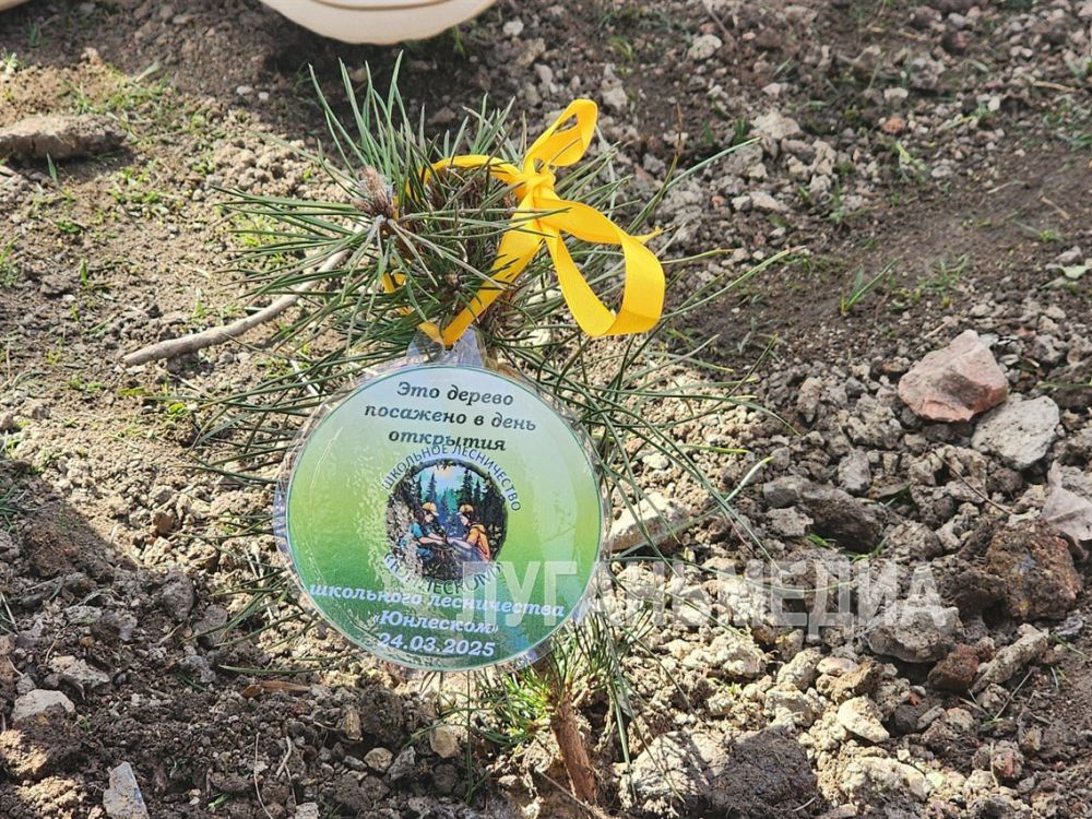 В Краснодоне дан старт работе школьного лесничества «Юнлеском» В Краснодоне дан старт работе школьного лесничества «Юнлеском»