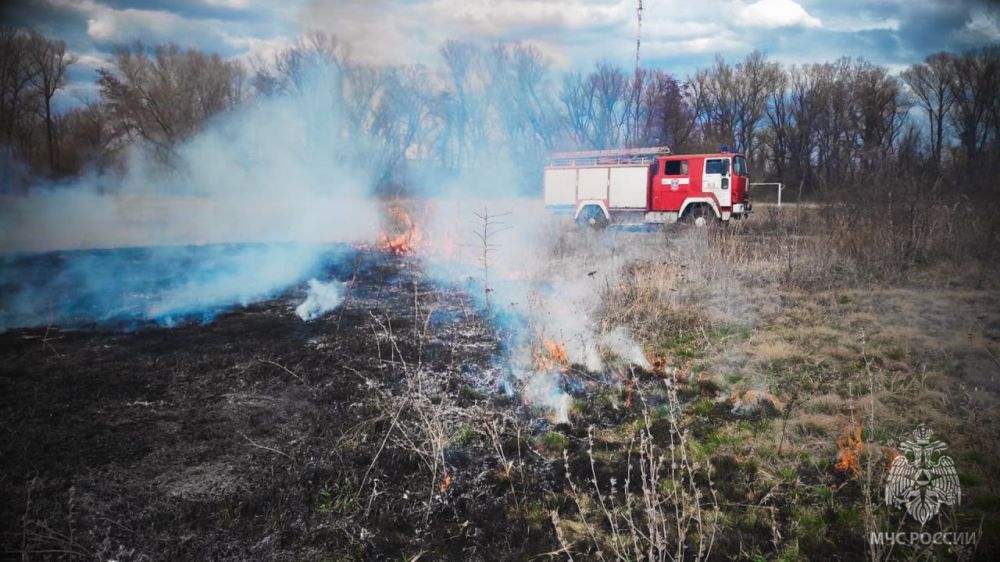 На минувших выходных в ЛНР ликвидировано 64 возгорания в экосистеме