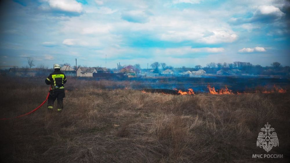 На минувших выходных в ЛНР ликвидировано 64 возгорания в экосистеме На минувших выходных в ЛНР ликвидировано 64 возгорания в экосистеме