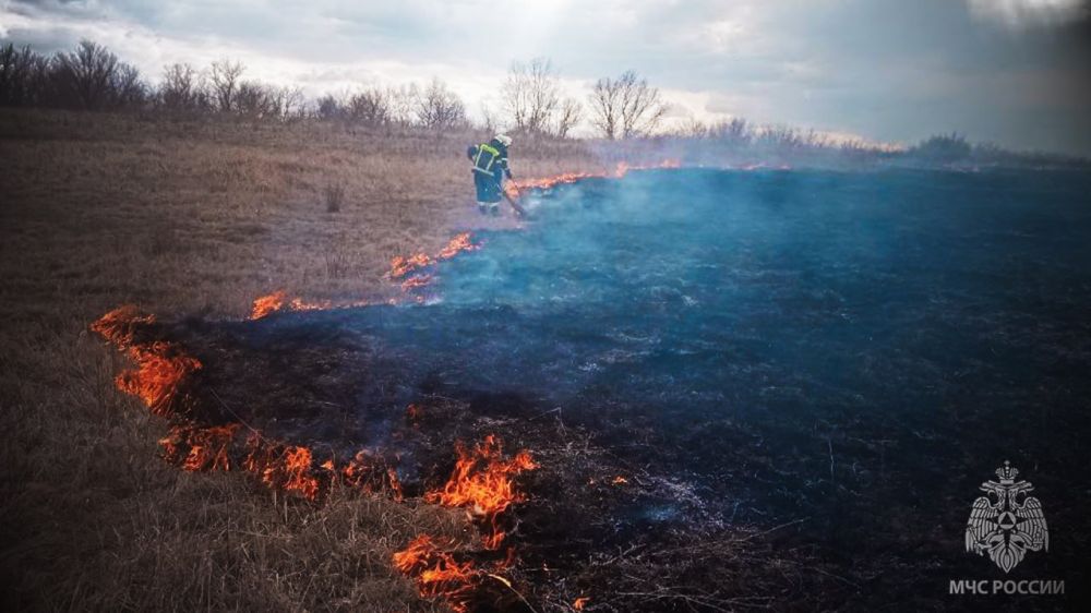 На минувших выходных в ЛНР ликвидировано 64 возгорания в экосистеме На минувших выходных в ЛНР ликвидировано 64 возгорания в экосистеме