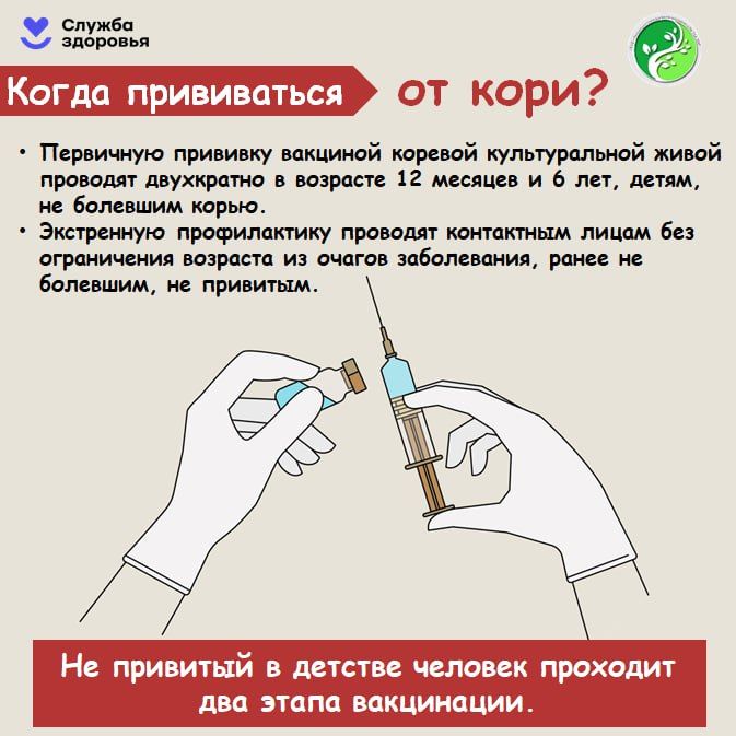 Корь максимально заразна — вирус может проникнуть даже через вентиляцию из соседней квартиры Корь максимально заразна — вирус может проникнуть даже через вентиляцию из соседней квартиры