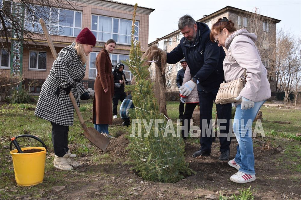 В Алчевске состоялась Всероссийская акция «Сад памяти» В Алчевске состоялась Всероссийская акция «Сад памяти»
