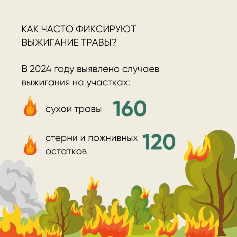 Россельхознадзор напоминает о соблюдении мер пожарной безопасности на землях сельхозназначения Россельхознадзор напоминает о соблюдении мер пожарной безопасности на землях сельхозназначения