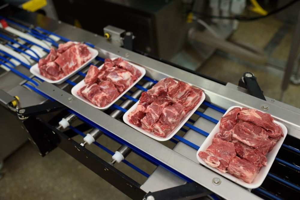 ЛНР наращивает производство продуктов питания: цифры, отрасли и самообеспечение ЛНР наращивает производство продуктов питания: цифры, отрасли и самообеспечение
