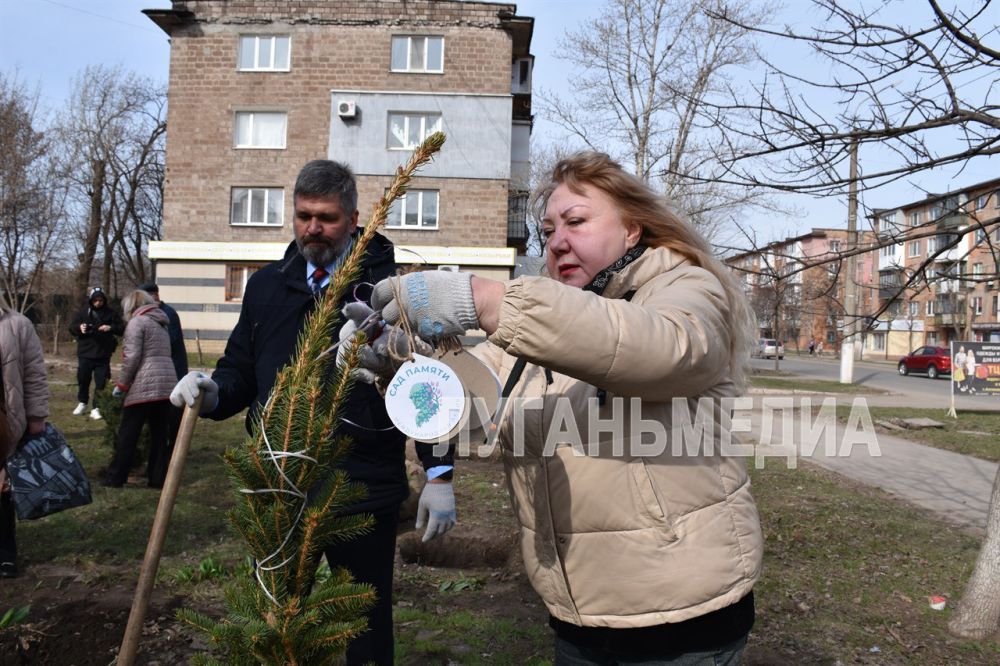 В Алчевске состоялась Всероссийская акция «Сад памяти» В Алчевске состоялась Всероссийская акция «Сад памяти»