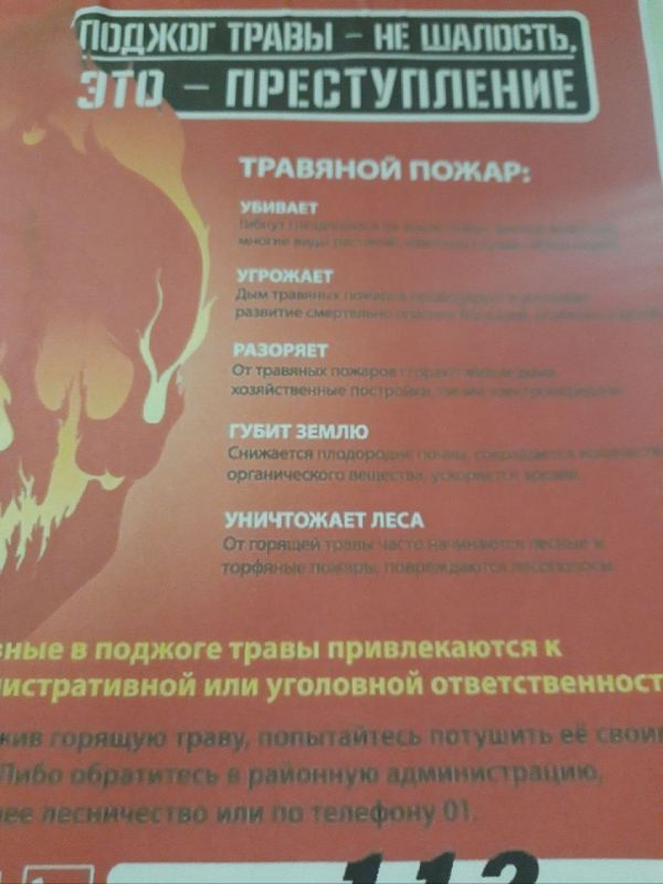 Станично-Луганский отдел жизнеобеспечения: работаем для вас! Станично-Луганский отдел жизнеобеспечения: работаем для вас!