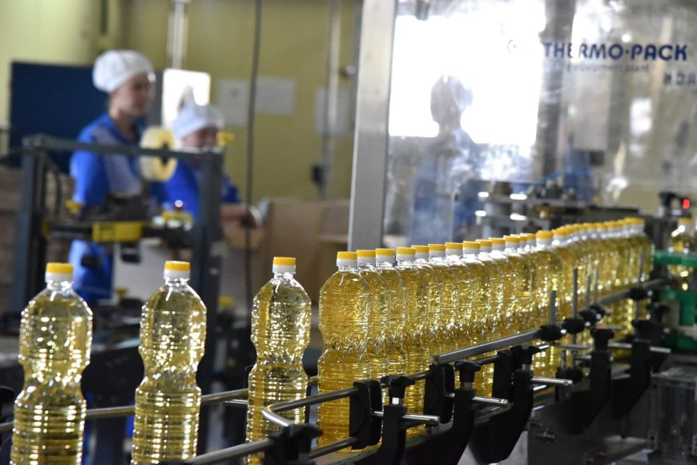 ЛНР наращивает производство продуктов питания: цифры, отрасли и самообеспечение ЛНР наращивает производство продуктов питания: цифры, отрасли и самообеспечение
