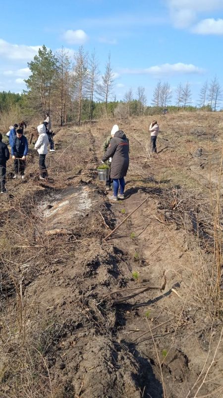Сотрудники ГБУ ЛНР «Старобельское лесоохотничье хозяйство» совместно с обучающимися Донцовской школы приняли участие в Международной акции «Сад памяти» Сотрудники ГБУ ЛНР «Старобельское лесоохотничье хозяйство» совместно с обучающимися Донцовской школы приняли участие в Международной акции «Сад памяти»