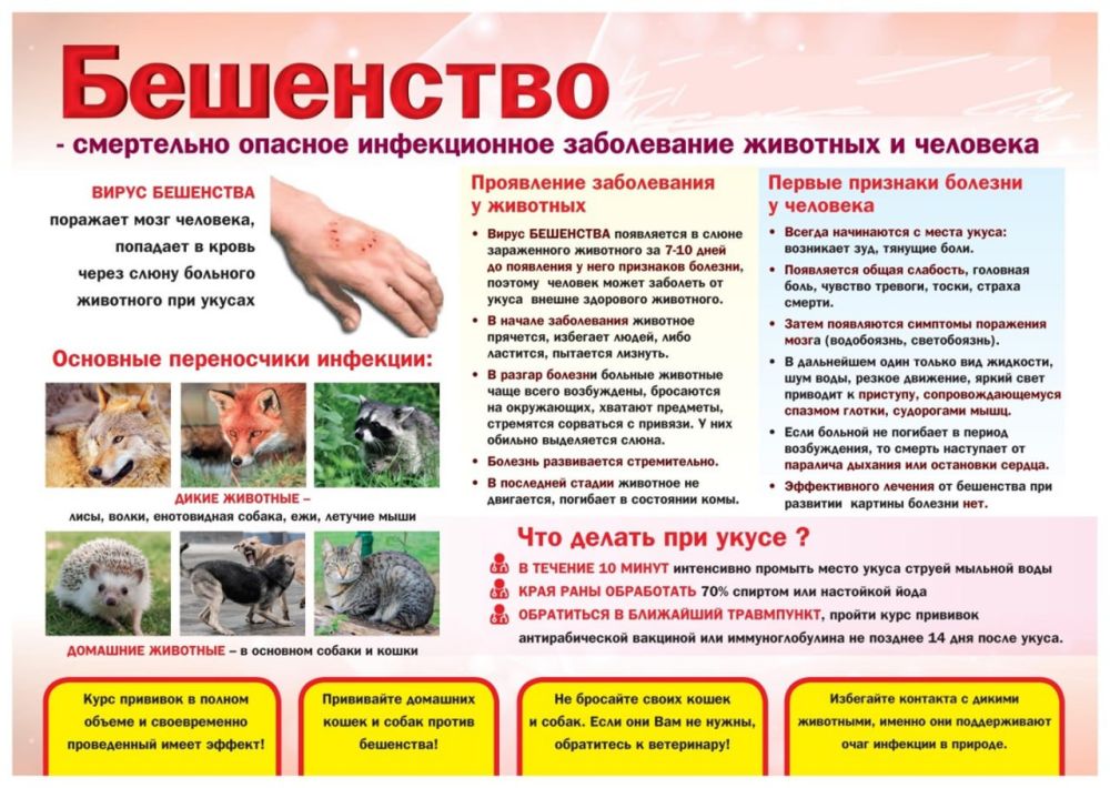 Уважаемые жители Станично-Луганского муниципального округа, в частности с. Валуйское Уважаемые жители Станично-Луганского муниципального округа, в частности с. Валуйское