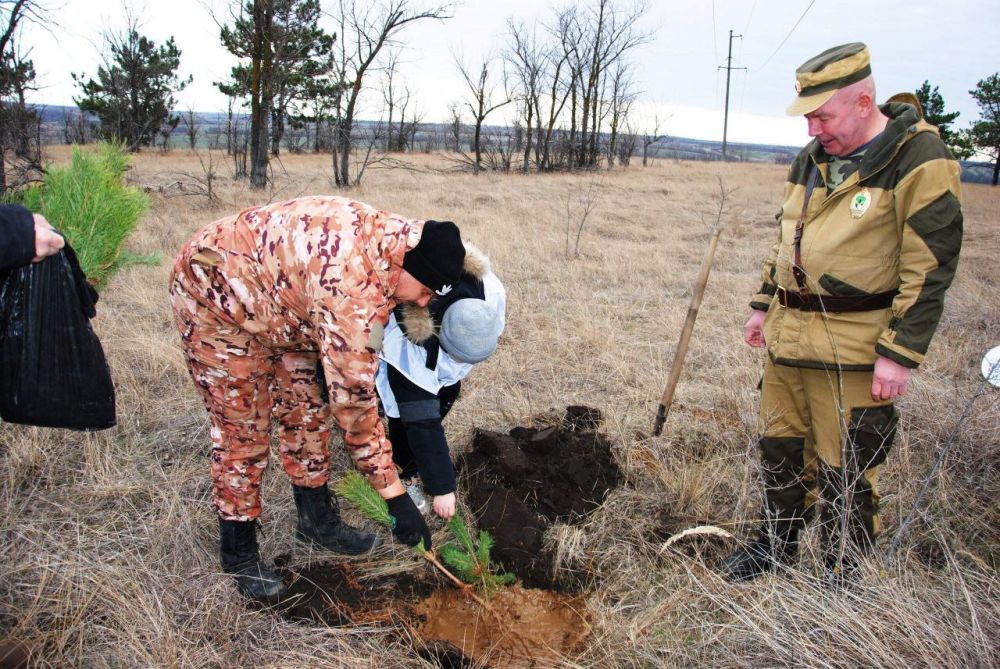 В Николаевском лесничестве участники Международной акции «Сад памяти» высадили три тысячи сеянцев сосны обыкновенной В Николаевском лесничестве участники Международной акции «Сад памяти» высадили три тысячи сеянцев сосны обыкновенной