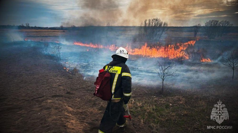 Количество пожаров в экосистеме Республики продолжает расти с каждым днем Количество пожаров в экосистеме Республики продолжает расти с каждым днем