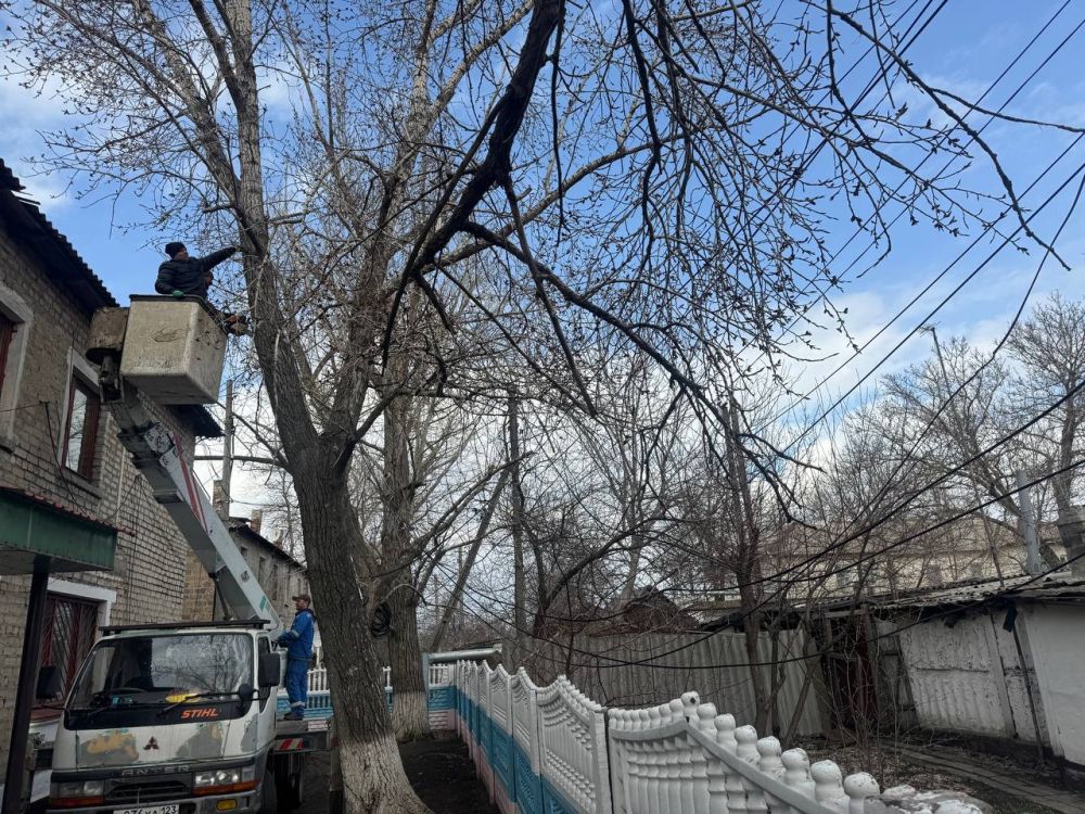 В рамках заключенного контракта в пгт Кленовый специализированной бригадой выполняются работы по удалению и омолаживанию аварийных деревьев по улицам Театральная дом № 2, №14, № 19А, Рыночная дом №9 и Карла Маркса дом № 1 В рамках заключенного контракта в пгт Кленовый специализированной бригадой выполняются работы по удалению и омолаживанию аварийных деревьев по улицам Театральная дом № 2, №14, № 19А, Рыночная дом №9 и Карла Маркса дом № 1