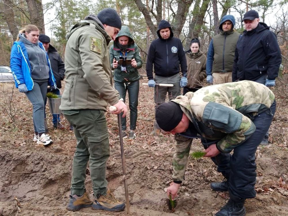 В Новоайдарском районе участники Международной акции «Сад памяти» высадили 500 сосен в память о героях Великой Отечественной войны и Специальной военной операции В Новоайдарском районе участники Международной акции «Сад памяти» высадили 500 сосен в память о героях Великой Отечественной войны и Специальной военной операции