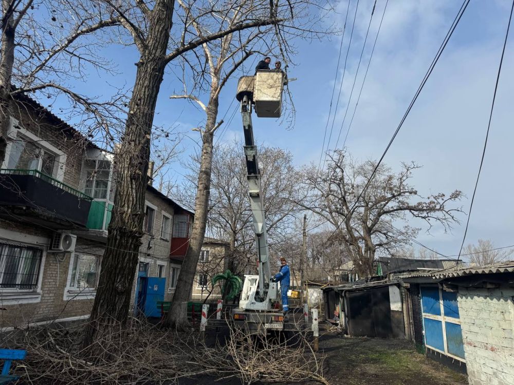 В рамках заключенного контракта в пгт Кленовый специализированной бригадой выполняются работы по удалению и омолаживанию аварийных деревьев по улицам Театральная дом № 2, №14, № 19А, Рыночная дом №9 и Карла Маркса дом № 1 В рамках заключенного контракта в пгт Кленовый специализированной бригадой выполняются работы по удалению и омолаживанию аварийных деревьев по улицам Театральная дом № 2, №14, № 19А, Рыночная дом №9 и Карла Маркса дом № 1