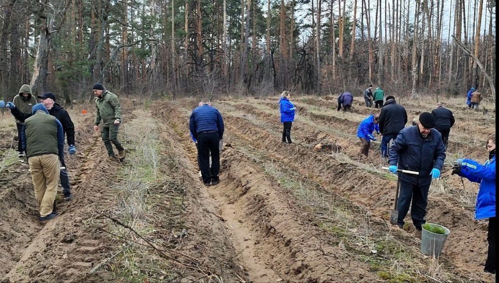 В Новоайдарском районе участники Международной акции «Сад памяти» высадили 500 сосен в память о героях Великой Отечественной войны и Специальной военной операции В Новоайдарском районе участники Международной акции «Сад памяти» высадили 500 сосен в память о героях Великой Отечественной войны и Специальной военной операции