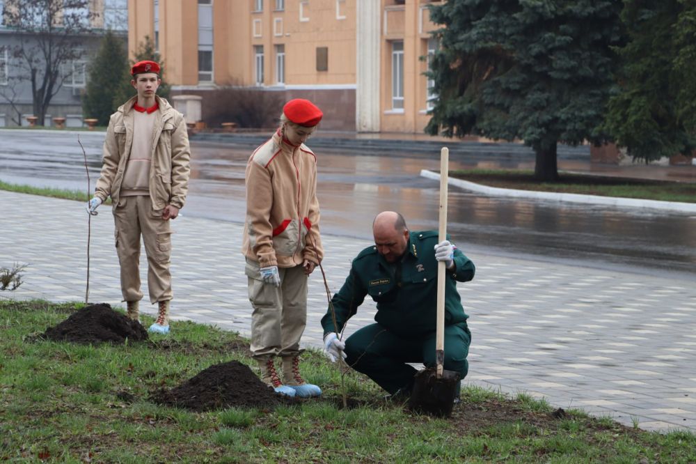 Стаханов и Ставропольский край вместе высадили "Сад памяти" Стаханов и Ставропольский край вместе высадили "Сад памяти"