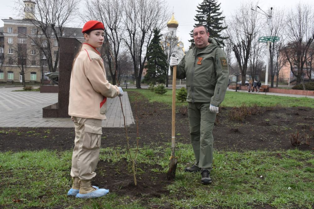 Стаханов и Ставропольский край вместе высадили "Сад памяти" Стаханов и Ставропольский край вместе высадили "Сад памяти"