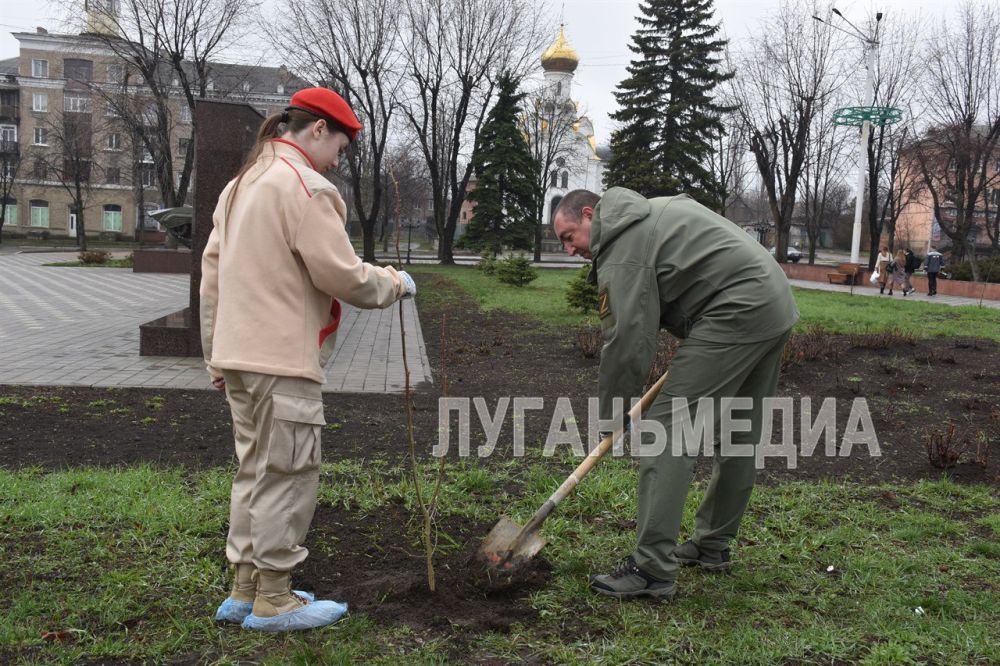 В рамках празднования 80-летия Великой Победы и участия во Всероссийской акции «Сад памяти» в Стаханове состоялась посадка саженцев лип и кленов В рамках празднования 80-летия Великой Победы и участия во Всероссийской акции «Сад памяти» в Стаханове состоялась посадка саженцев лип и кленов