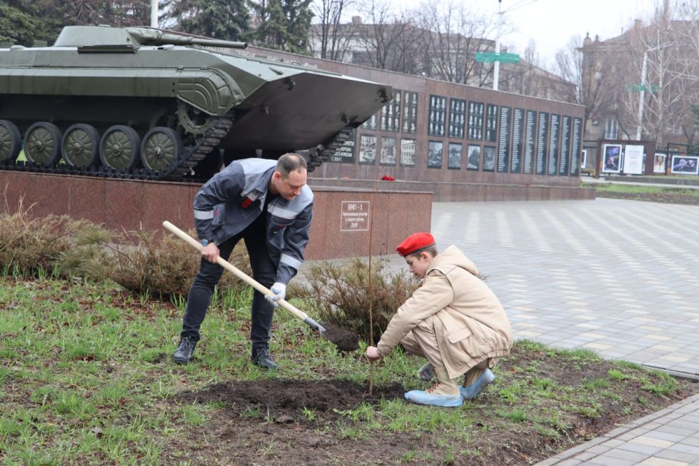 Стаханов и Ставропольский край вместе высадили "Сад памяти" Стаханов и Ставропольский край вместе высадили "Сад памяти"