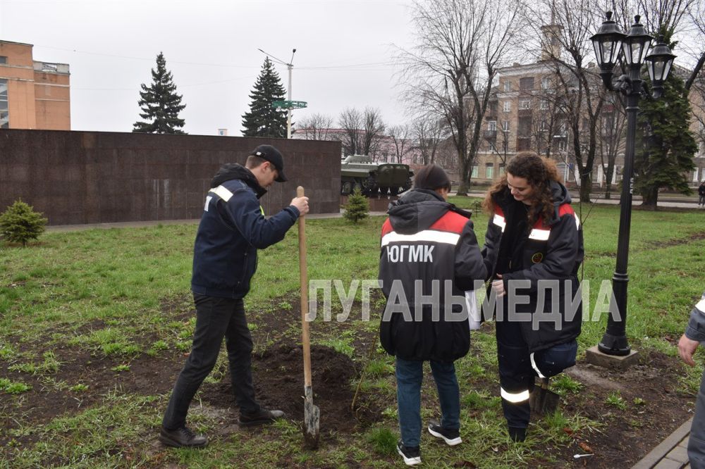 В рамках празднования 80-летия Великой Победы и участия во Всероссийской акции «Сад памяти» в Стаханове состоялась посадка саженцев лип и кленов В рамках празднования 80-летия Великой Победы и участия во Всероссийской акции «Сад памяти» в Стаханове состоялась посадка саженцев лип и кленов