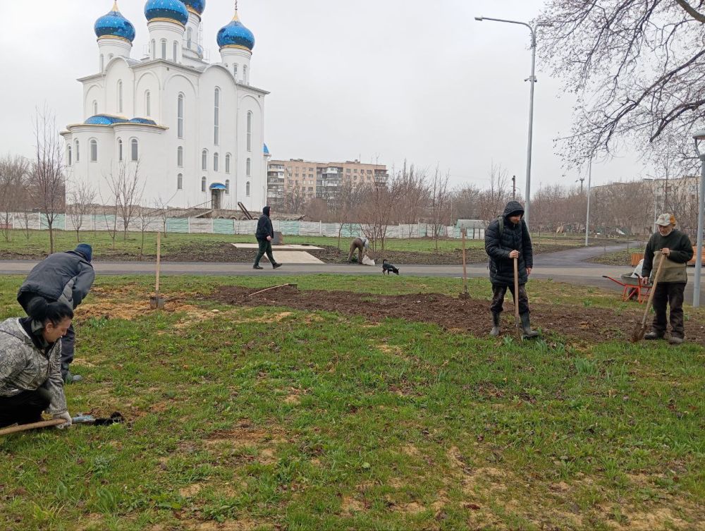 Сегодня в Краснодонском парке имени «Молодой гвардии» прошел субботник, в рамках которого были высажены саженцы можжевельника Сегодня в Краснодонском парке имени «Молодой гвардии» прошел субботник, в рамках которого были высажены саженцы можжевельника