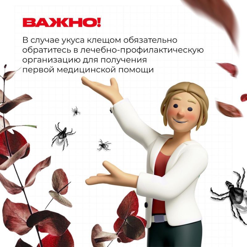 Весна — это время для прогулок на свежем воздухе, но не забывайте об осторожности! Весна — это время для прогулок на свежем воздухе, но не забывайте об осторожности!