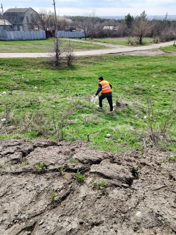 Трудовой десант на страже чистоты: итоги субботника вдоль дороги по улице К. Животова Трудовой десант на страже чистоты: итоги субботника вдоль дороги по улице К. Животова