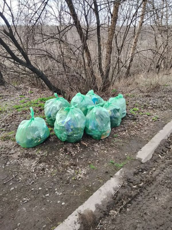Трудовой десант на страже чистоты: итоги субботника вдоль дороги по улице К. Животова Трудовой десант на страже чистоты: итоги субботника вдоль дороги по улице К. Животова