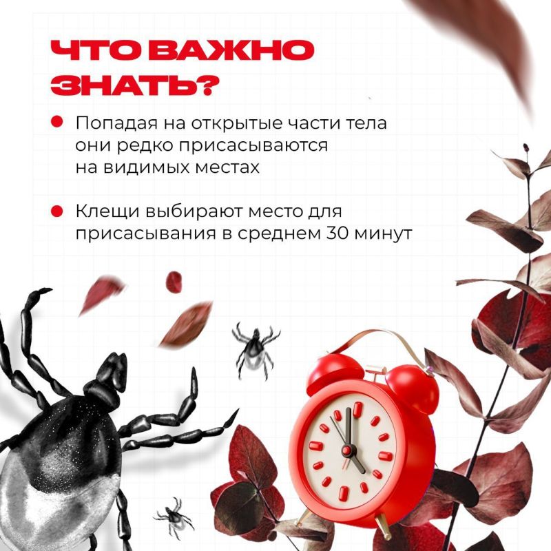 Весна — это время для прогулок на свежем воздухе, но не забывайте об осторожности! Весна — это время для прогулок на свежем воздухе, но не забывайте об осторожности!