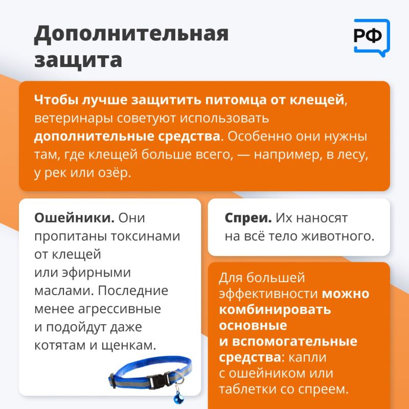 Из-за тёплой и бесснежной зимы клещи проснулись раньше обычного, предупредили в Роспотребнадзоре Из-за тёплой и бесснежной зимы клещи проснулись раньше обычного, предупредили в Роспотребнадзоре