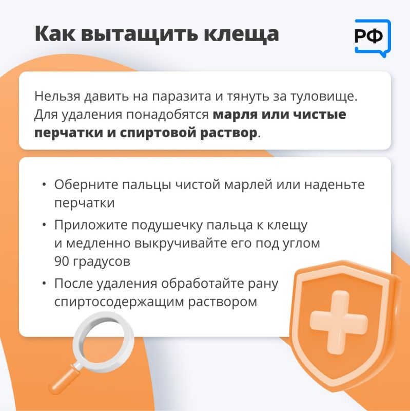 Из-за тёплой и бесснежной зимы клещи проснулись раньше обычного, предупредили в Роспотребнадзоре Из-за тёплой и бесснежной зимы клещи проснулись раньше обычного, предупредили в Роспотребнадзоре