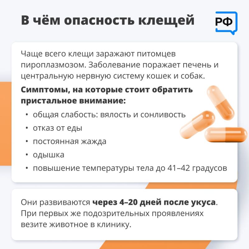 Из-за тёплой и бесснежной зимы клещи проснулись раньше обычного, предупредили в Роспотребнадзоре Из-за тёплой и бесснежной зимы клещи проснулись раньше обычного, предупредили в Роспотребнадзоре