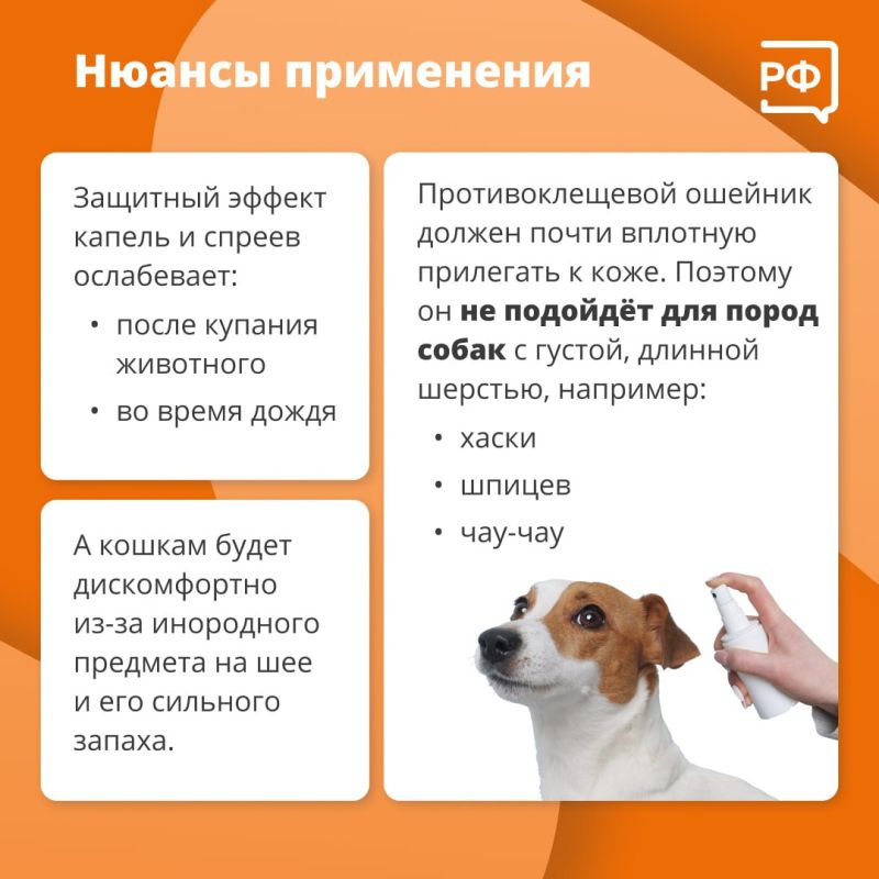 Из-за тёплой и бесснежной зимы клещи проснулись раньше обычного, предупредили в Роспотребнадзоре Из-за тёплой и бесснежной зимы клещи проснулись раньше обычного, предупредили в Роспотребнадзоре