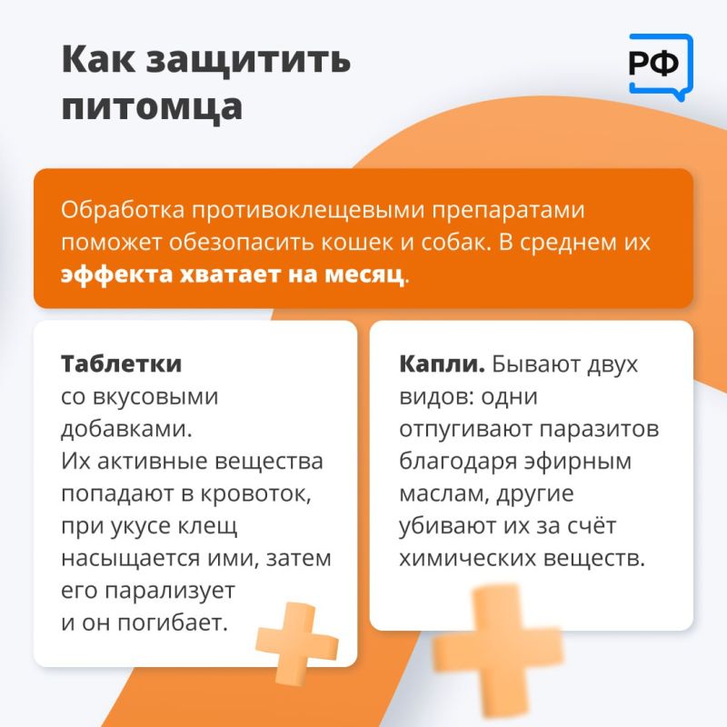 Из-за тёплой и бесснежной зимы клещи проснулись раньше обычного, предупредили в Роспотребнадзоре Из-за тёплой и бесснежной зимы клещи проснулись раньше обычного, предупредили в Роспотребнадзоре