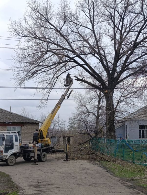 В поселках городского округа проводятся работы по обрезке и удалению аварийных деревьев В поселках городского округа проводятся работы по обрезке и удалению аварийных деревьев