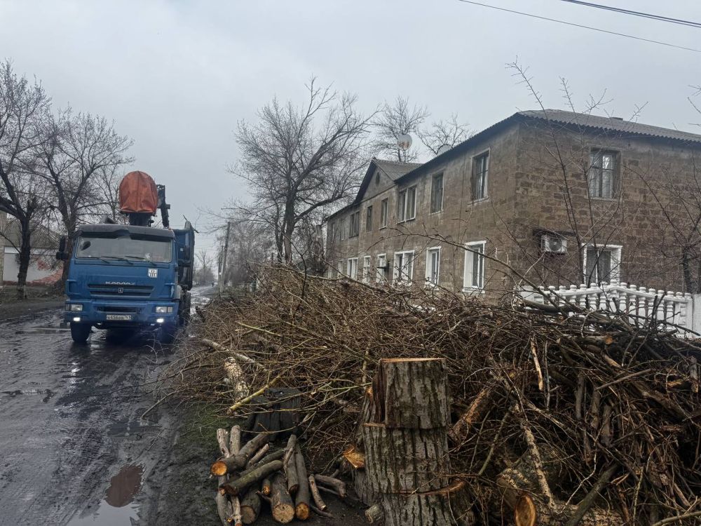 31марта 2025 года в пгт Кленовый подрядная организация произвела уборку удаленных деревьев и обрезанных веток 31марта 2025 года в пгт Кленовый подрядная организация произвела уборку удаленных деревьев и обрезанных веток