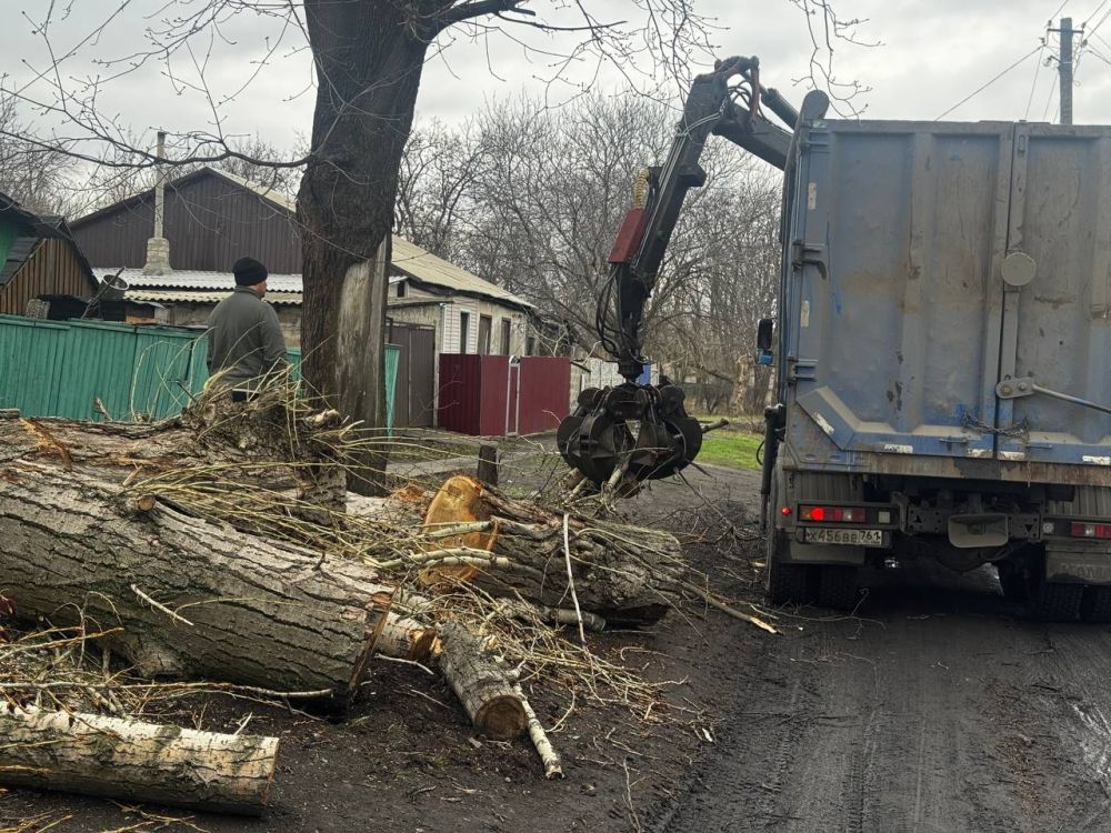 В поселках городского округа проводятся работы по обрезке и удалению аварийных деревьев В поселках городского округа проводятся работы по обрезке и удалению аварийных деревьев
