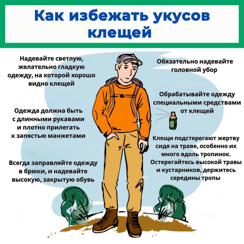 Иксодовые клещи являются переносчиками возбудителей (вирусов, бактерий, простейших) природноочаговых заболеваний (клещевого энцефалита, Лайм-боррелиозов, геморрагической лихорадки Крым-Конго, туляремии, бабезиозов и др.) Иксодовые клещи являются переносчиками возбудителей (вирусов, бактерий, простейших) природноочаговых заболеваний (клещевого энцефалита, Лайм-боррелиозов, геморрагической лихорадки Крым-Конго, туляремии, бабезиозов и др.)