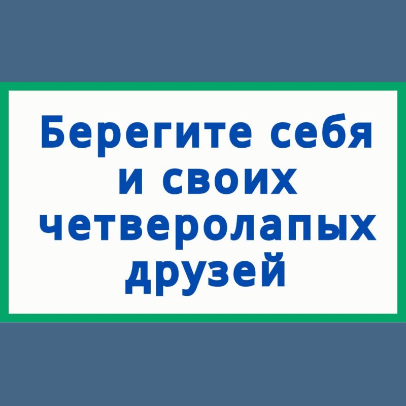 Иксодовые клещи являются переносчиками возбудителей (вирусов, бактерий, простейших) природноочаговых заболеваний (клещевого энцефалита, Лайм-боррелиозов, геморрагической лихорадки Крым-Конго, туляремии, бабезиозов и др.) Иксодовые клещи являются переносчиками возбудителей (вирусов, бактерий, простейших) природноочаговых заболеваний (клещевого энцефалита, Лайм-боррелиозов, геморрагической лихорадки Крым-Конго, туляремии, бабезиозов и др.)