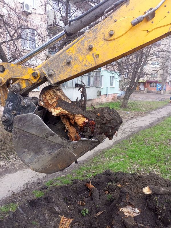 Сергей Козенко: Благоустройство в Краснодонском муниципальном округе продолжается полным ходом Сергей Козенко: Благоустройство в Краснодонском муниципальном округе продолжается полным ходом