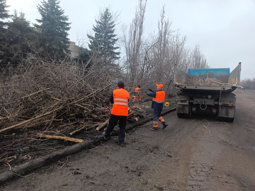 Работниками филиала «Свердловский автодор» ГУП ЛНР «Луганский автодор» выполнены работы по обрезке сухих и аварийный деревьев вдоль автодороги местного значения (Краснодон – Свердловск) – Ананьевка Работниками филиала «Свердловский автодор» ГУП ЛНР «Луганский автодор» выполнены работы по обрезке сухих и аварийный деревьев вдоль автодороги местного значения (Краснодон – Свердловск) – Ананьевка