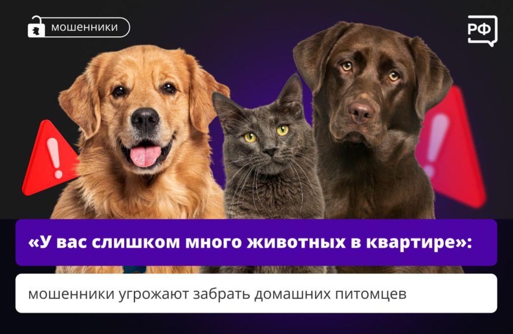 Иксодовые клещи являются переносчиками возбудителей (вирусов, бактерий, простейших) природноочаговых заболеваний (клещевого энцефалита, Лайм-боррелиозов, геморрагической лихорадки Крым-Конго, туляремии, бабезиозов и др.) Иксодовые клещи являются переносчиками возбудителей (вирусов, бактерий, простейших) природноочаговых заболеваний (клещевого энцефалита, Лайм-боррелиозов, геморрагической лихорадки Крым-Конго, туляремии, бабезиозов и др.)
