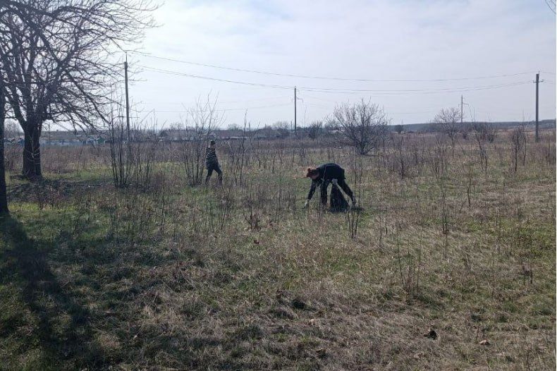 В пгт Шахтерский работниками отдела по обеспечению жизнедеятельности населённого пункта были проведены мероприятия по уборке от мусора обочины дороги В пгт Шахтерский работниками отдела по обеспечению жизнедеятельности населённого пункта были проведены мероприятия по уборке от мусора обочины дороги