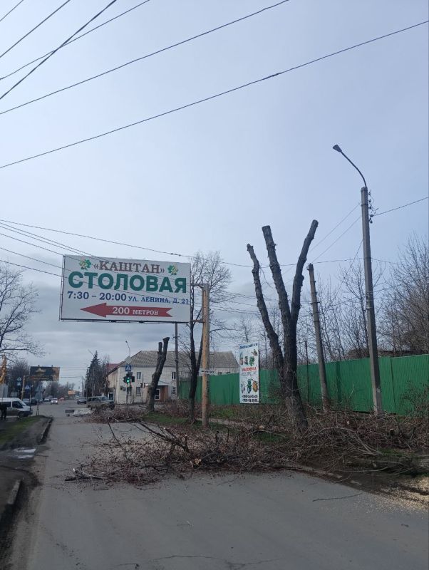 Андрей Рубанцов: В Ровеньках продолжается опиловка деревьев Андрей Рубанцов: В Ровеньках продолжается опиловка деревьев